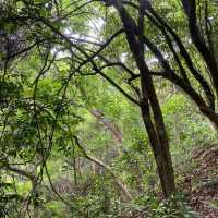 役政公園～綠洲中的湖光山色～寧靜放鬆