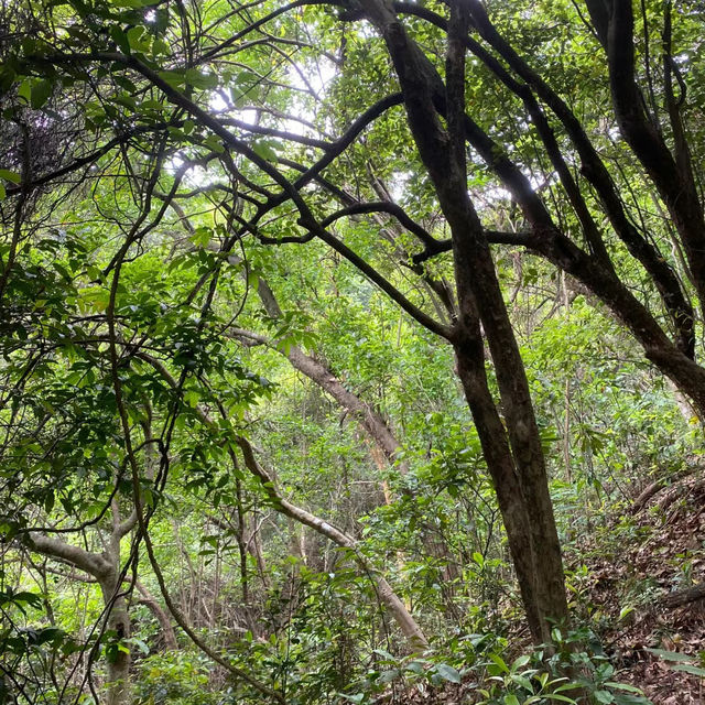 役政公園～綠洲中的湖光山色～寧靜放鬆