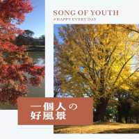 楓紅下的奈良公園