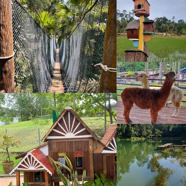 【吉隆坡】馬來西亞國家植物園，適合親子遊