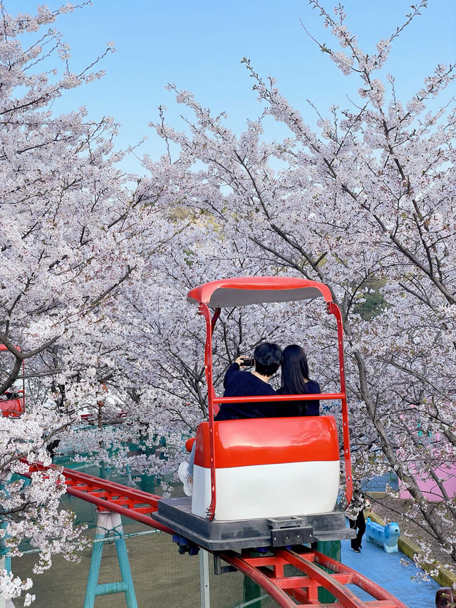 🎡16,000원 내고 하늘자전거만 타고 온 썰,,, 이거 맞아?,,,