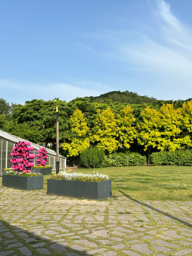 도심속에서 마음껏 꽃구경 하고 싶을때💚