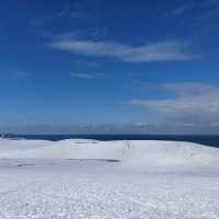 幸運的鳥取雪丘-划算的外國人計程車
