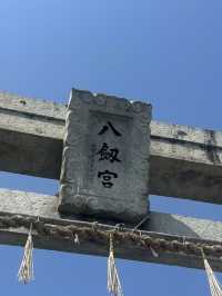 【福岡神社】福岡県指定の天然記念物のイチョウの木がある