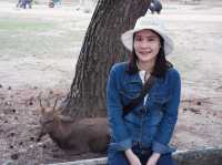 ให้อาหารกวางที่ NARA PARK | Osaka 🇯🇵