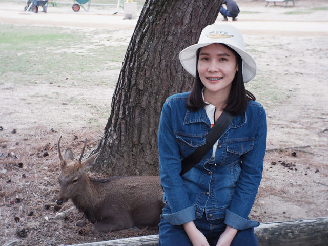 ให้อาหารกวางที่ NARA PARK | Osaka 🇯🇵