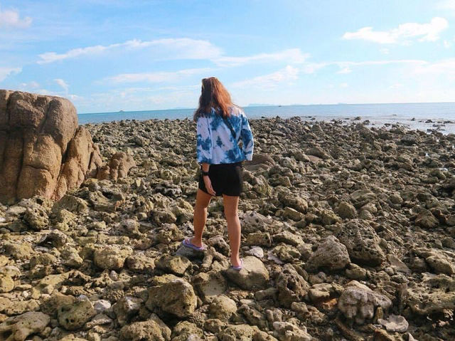 ย้อนเวลาไปสุราษฎร์ธานี🌊