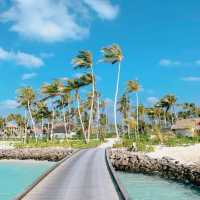 Tropical Bliss: Exploring Maafushi Island 🇲🇻