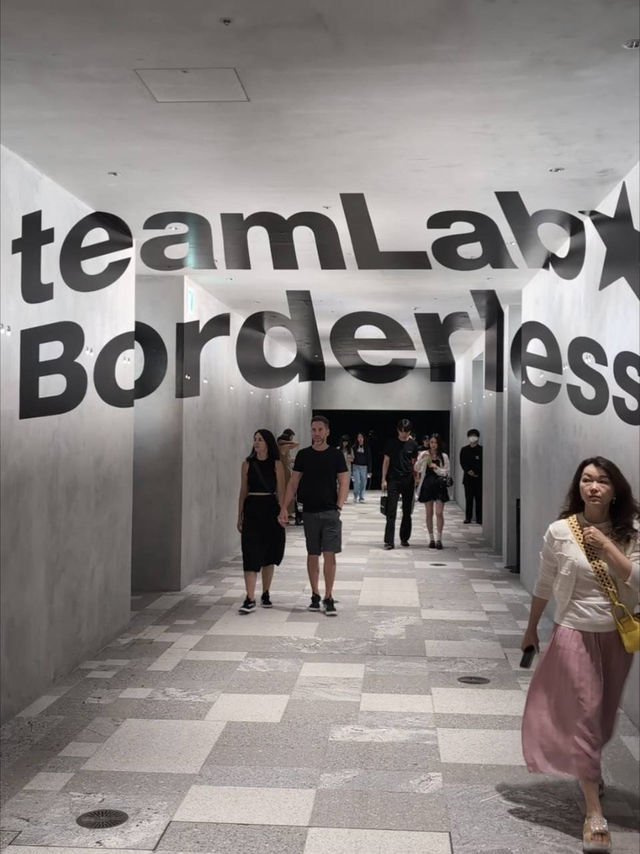 東京必去麻布台「Teamlab」無界藝術展覽 