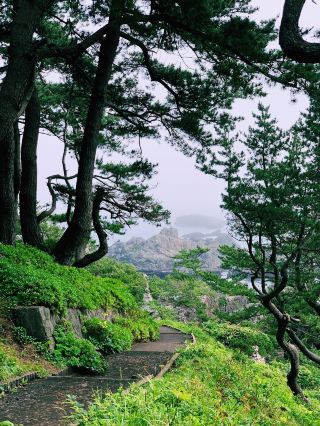 Yodo-no-matsubara yūhodō trail