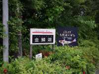 🇯🇵福岡 由布院金鱗湖：清晨時分 感受金色光影奇景