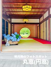 【神奈川県】明月院の人気フォトスポット