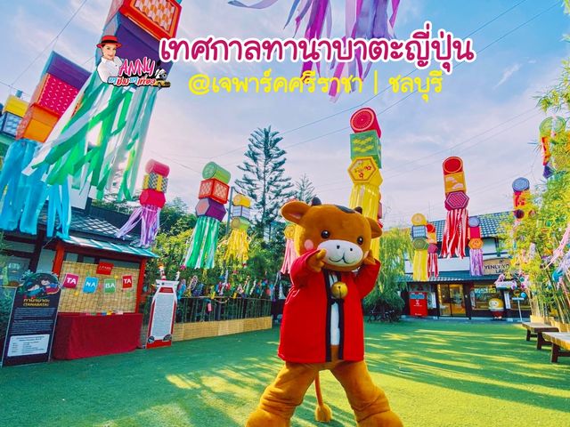 เทศกาลขอพรจากดวงดาวยอดนิยมในญี่ปุ่น