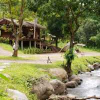 "หลงเขา" คาเฟ่กลางป่าเขาที่จะทำให้คุณหลงรัก