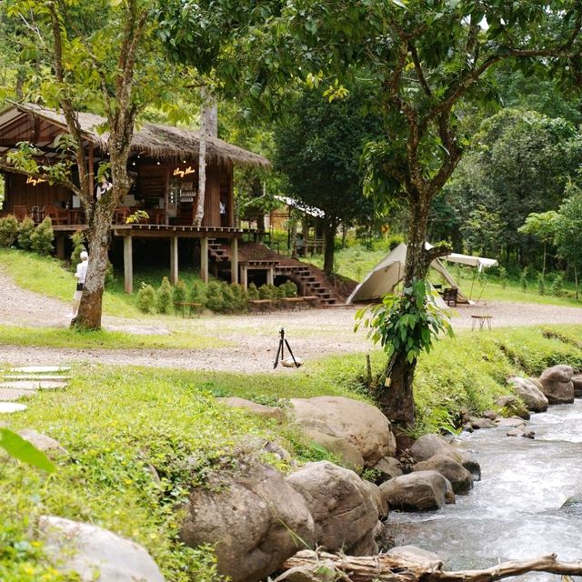 "หลงเขา" คาเฟ่กลางป่าเขาที่จะทำให้คุณหลงรัก
