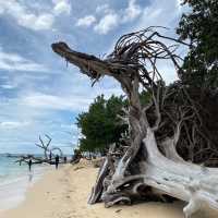 เกาะกระดาน ตรัว