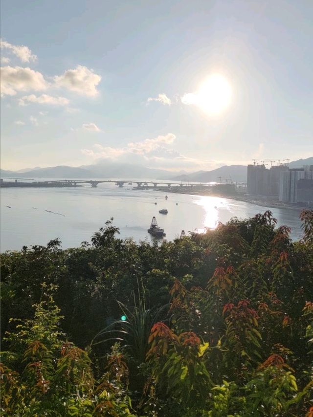 最佳數飛機地點- 觀景山