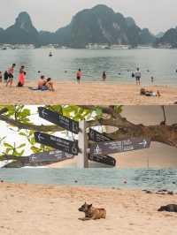【ベトナム🇻🇳】一度は行きたいベトナムの絶景ハロン湾！