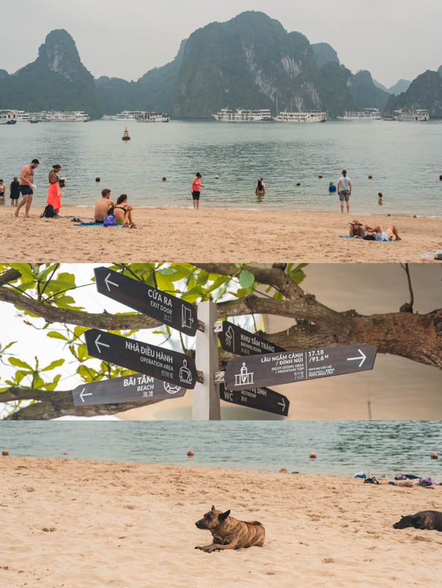 【ベトナム🇻🇳】一度は行きたいベトナムの絶景ハロン湾！