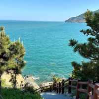 座間味島：迷人海灘