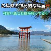 鹿と牡蠣の楽園【広島市内からフェリーてなんと10分】
