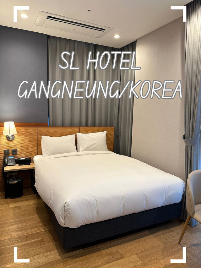 【韓国/江陵/ホテル】プールあり！屋上ガーデンあり！のホテル🏨
