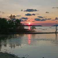 สะพานสู่ฝัน Cinnamon Scenic Boardw
