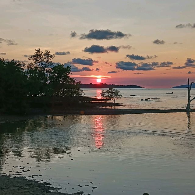 สะพานสู่ฝัน Cinnamon Scenic Boardw