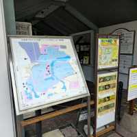 일본여행 홋카이도대학 식물원 北海道大学 植物園