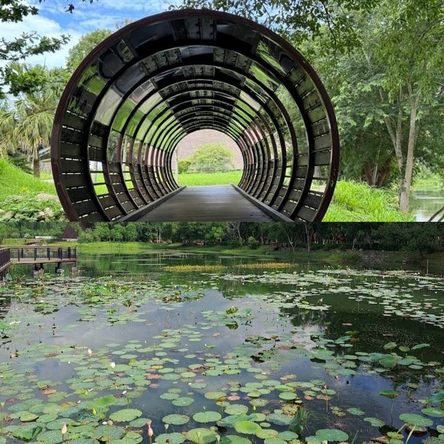 【免費停車 天然木雕】東勢林業文化園區：悠閒散步，環湖散步，適合任何時間和場景
