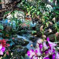 ป่าหิมพานต์ในเมืองเชียงราย : Lalitta Café