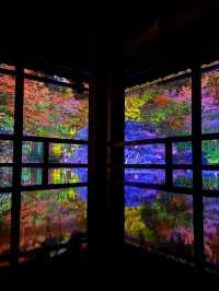 〜滋賀県〜美しすぎる旧竹林院ライトアップ✨