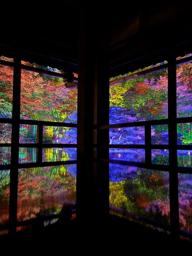〜滋賀県〜美しすぎる旧竹林院ライトアップ✨