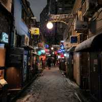 인천에서 2시간 30분! 겨울에 더 화려한 일본의 수도 도쿄🇯🇵