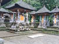 【バリ島】ティルタ ウンプル寺院に行ってきました