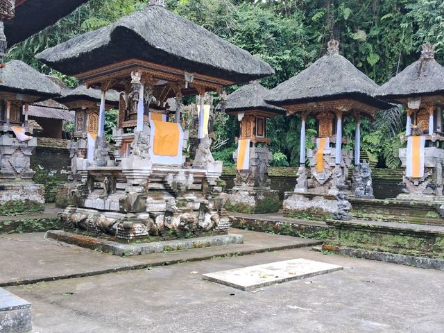 【バリ島】ティルタ ウンプル寺院に行ってきました