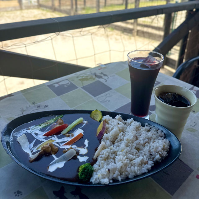 【千葉】オーシャンビューの絶品ランチが食べれるカフェ🍽️