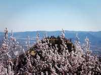 Fenghuangling Nature Park