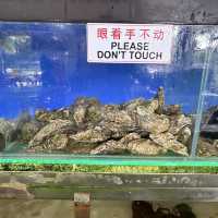 Nibong Tebal’s Seafood Gem: Kedai Kopi Ching Siang