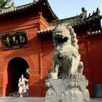 Encountering the Most Beautiful Spring at White Horse Temple