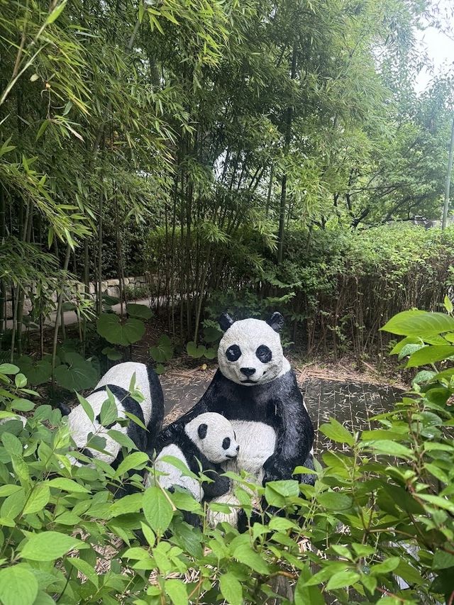 🐻‍❄️🌸에버랜드로 귀여운 판다 구경가요 