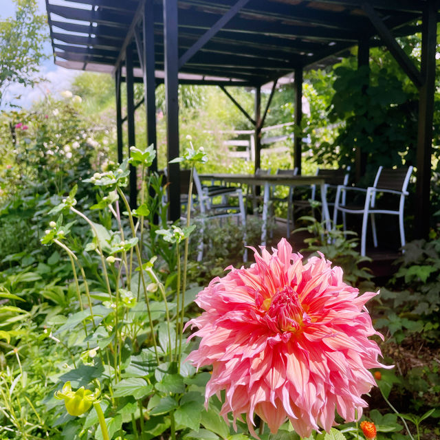【長野県/茅野　森の中にいるような🌿オシャレなイタリアンレストラン🍽️】