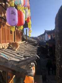 My Favourite Place in China?! Old Town of Lijiang 🇨🇳🤍