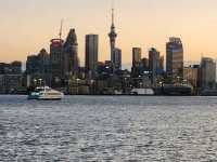 Auckland on a budget