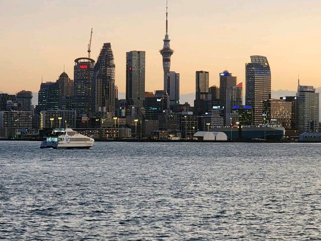 Auckland on a budget