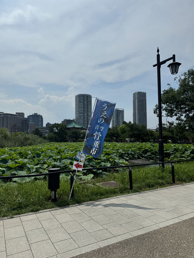 도쿄 우에노 공원 산책 코스, 우에노 가볼 만한 곳