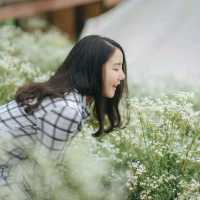ภูดอย โฮมสเตย์  