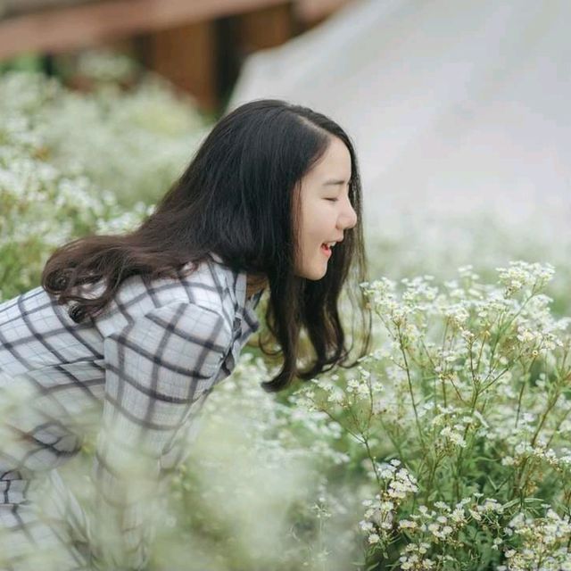 ภูดอย โฮมสเตย์  