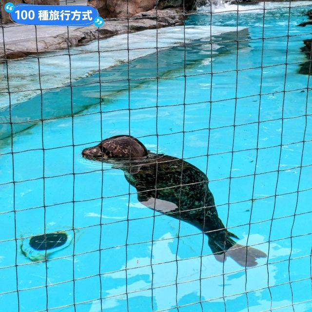 日本東京-大人小孩都喜歡的動物明星：上野動物園