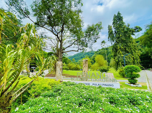 A serene escape from the city’s hustle 🇲🇾